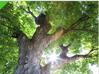 株式会社エコテック