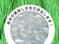 株式会社丸七製作所